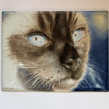 Portrait de chat siamois